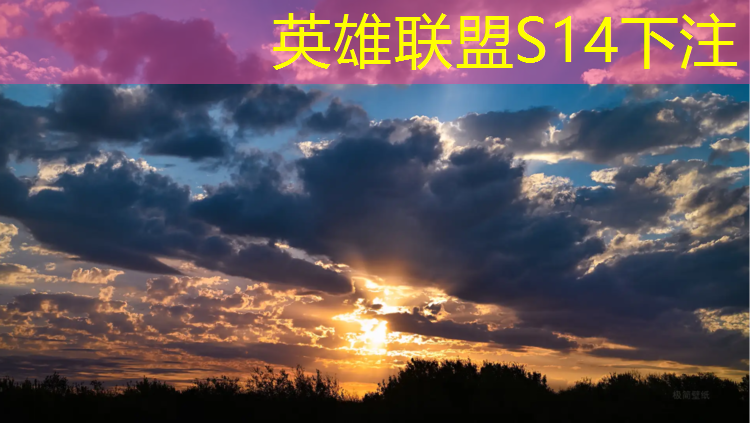 胜游官网：专业电竞的好处和坏处英文